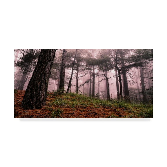 Trademark Fine Art 'Mountain And Trees' Canvas Art by Giuseppe Torre