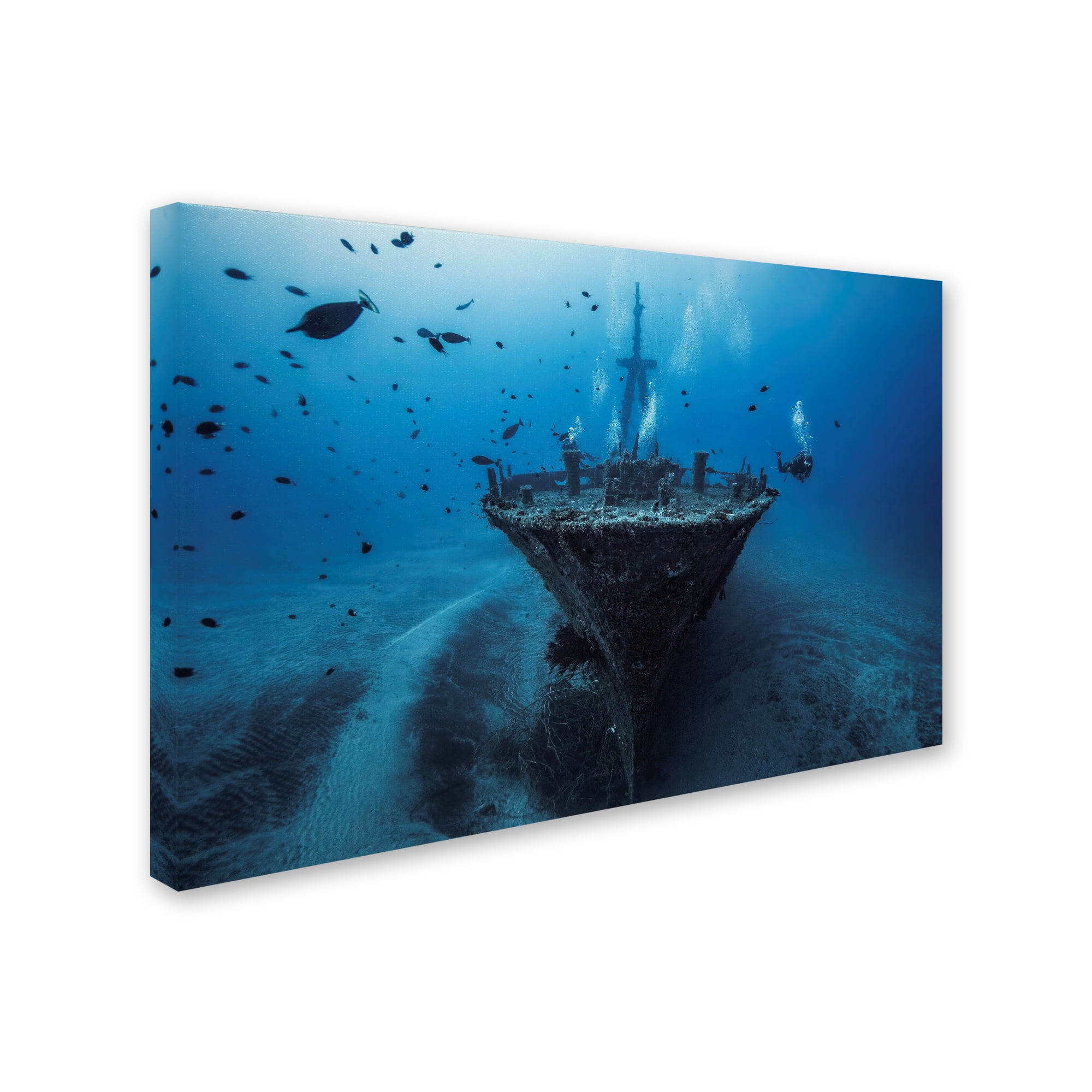 Barathieu Gabriel 'Hai Siang Wreck' Canvas Art