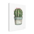 thumbnail image 2 of Trademark Fine Art 'Mixed Greens Succulent II' Canvas Art by Lisa Audit, 2 of 3