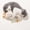 B1, variant on Pet Hair Keepsake Box, Magnetic Closure Storage Box for Pet Memorial Organizer