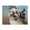 500 Pieces, variant on 1000-Piece Wooden Jigsaw Puzzle for Adults - Dog Portrait Fluffyss Fur Happy , Fun & Relaxing Family Game, No-Dust Interlocking Pieces, Perfect Wall Decor & Holiday Gift