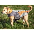 thumbnail image 5 of Helios Lotus-Rusher Waterproof 2-in-1 Convertible Dog Jacket w/ Blackshark technology, 5 of 8