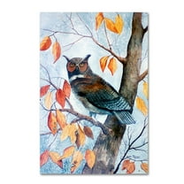 Trademark Fine Art 'Owl And Autumn Leaves' Canvas Art by Arie Reinhardt Taylor