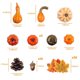 thumbnail image 2 of Set de decoración otoñal DomeStar con 8 calabazas, hojas y bellotas, 2 of 7