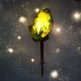 thumbnail image 4 of SUGARMOM Solar Frogs Garden Decor Light Outdoor Statue | Cute and Creative Pond Statues for Garden & Patio  Yard  Pool, 4 of 6