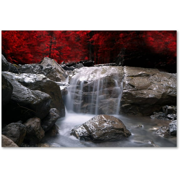 Trademark Fine Art "Red Vison" Canvas Art by Philippe Sainte-Laudy, 12" x 19"