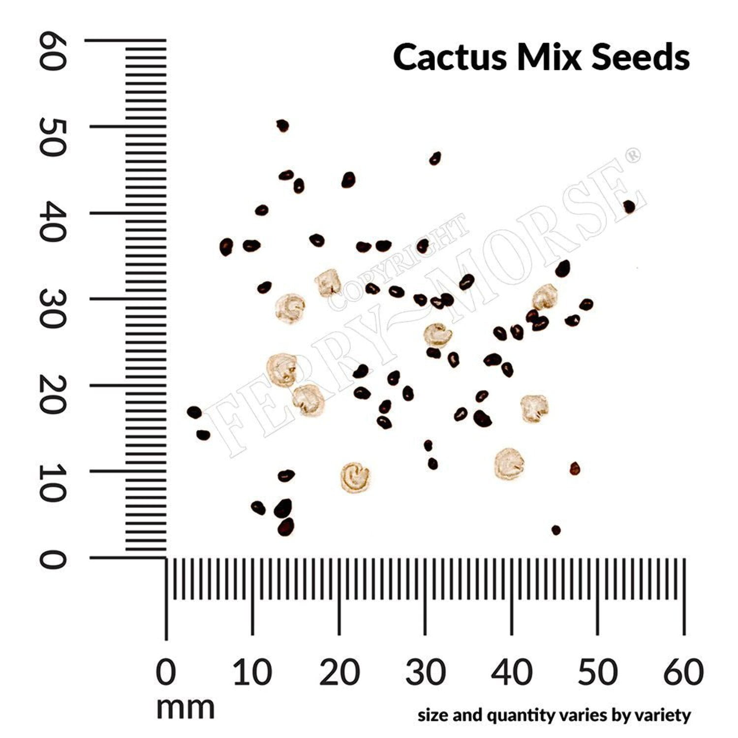 Ferry-Morse Online Edition Cactus Mixed Varieties Seed Bundle - 8 Pack