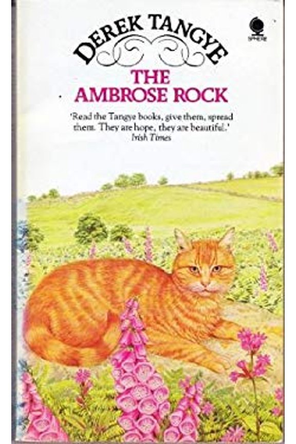 Pre-Owned The Ambrose Rock (Paperback) 0722183941 9780722183946