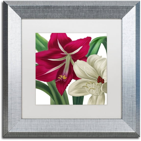 Trademark Fine Art "Christmas Amaryllis I" Canvas Art by Color Bakery White Matte, Silver Frame