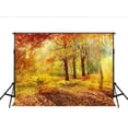 thumbnail image 2 of ABPHOTO Polyester Autumn Backdrop for Photography Naturism Scenery Photographic Background Yellow Falls Foto for Fond Studio Photos 7x5ft, 2 of 4