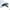 ブラック, variant on HPDL Gold 1pcs mobile phone lanyard clip stainless steel ultra-thin strong metal gasket anti-fall back sticker connecting piece hanging rope anti-lost hanging piece