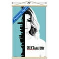 thumbnail image 3 of Grey's Anatomy Season 13 - One Sheet Wall Poster with Wooden Magnetic Frame, 22.375" x 34", 3 of 6