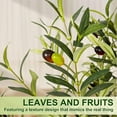 thumbnail image 5 of Romswi 7FT Artificial Olive Tree Tall Fake Potted Olive Tree with Lifelike Fruits Faux Olive Tree For Home House Office Decor Indoor, 5 of 11