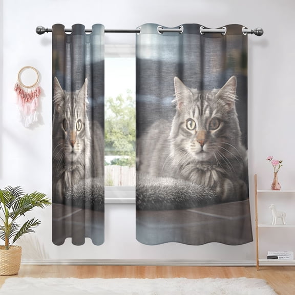 Cat Floor Sofar Blackout Curtains Thermal Insulation 63 inch Grommet for Bedroom Living Room Bathroom Kitchen Windows 2 Pack