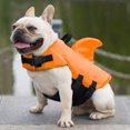 thumbnail image 4 of M, Orange Gilet De Sauvetage Pour Chien Gilet De Securit Chiot Animaux De Compagnie Rglable Maillot De Bain Petits Et Moyens Chiens Natation, 4 of 5