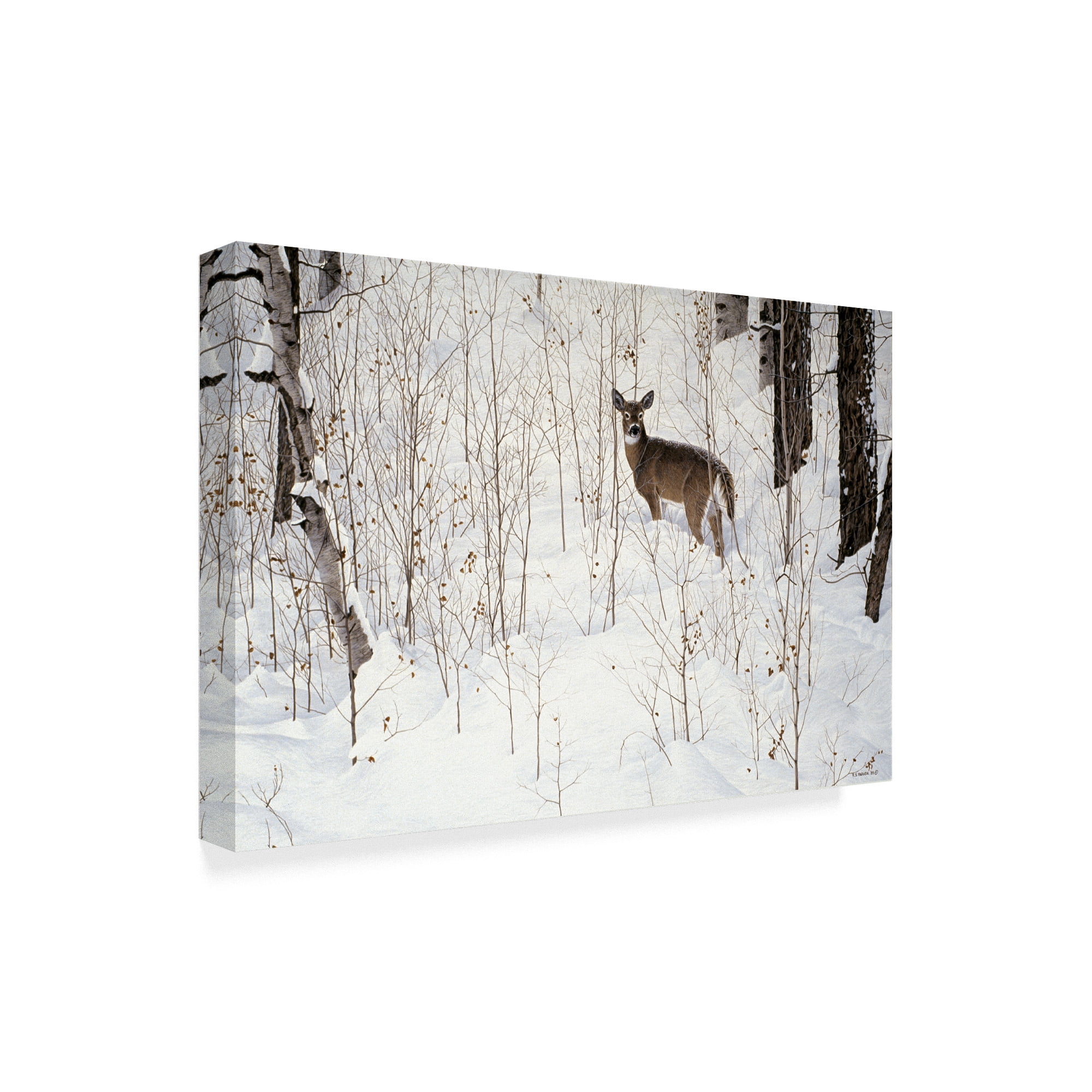 Trademark Fine Art 'Deep Snow Whitetail' Canvas Art by Ron Parker