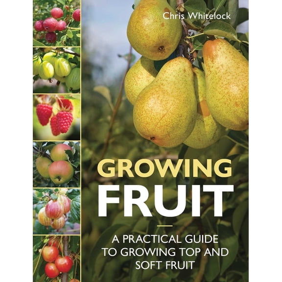 Growing Fruit: A Practical Guide to Growing Top and Soft Fruit, (Paperback)