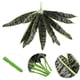 thumbnail image 3 of Planta de serpiente artificial en maceta, sansevieria, planta de plástico, adorno de bonsái, 3 of 8