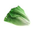 thumbnail image 1 of Alimento Artificial Vegetal Alimento Artificial de Simulación Vegetal Decoración de la Cocina del Hogar Magideal Vegetal Alimento Artificial Vegetal, 1 of 5