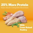 thumbnail image 4 of Pedigree High Protein Adult Dry Dog Food, Chicken and Turkey Flavor, 18 lb. Bag, 4 of 9