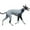 Grey, variant on HQREA Italian Greyhound Four-Legged Clothes, Dog Cooling T-Shirt, Summer Pet Coat for Outdoor