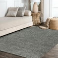 thumbnail image 3 of JONATHAN Y MERCER SHAG 3 x 5 Area Rug, Mercer Plush - Charcoal, MCR106B-3, 3 of 11