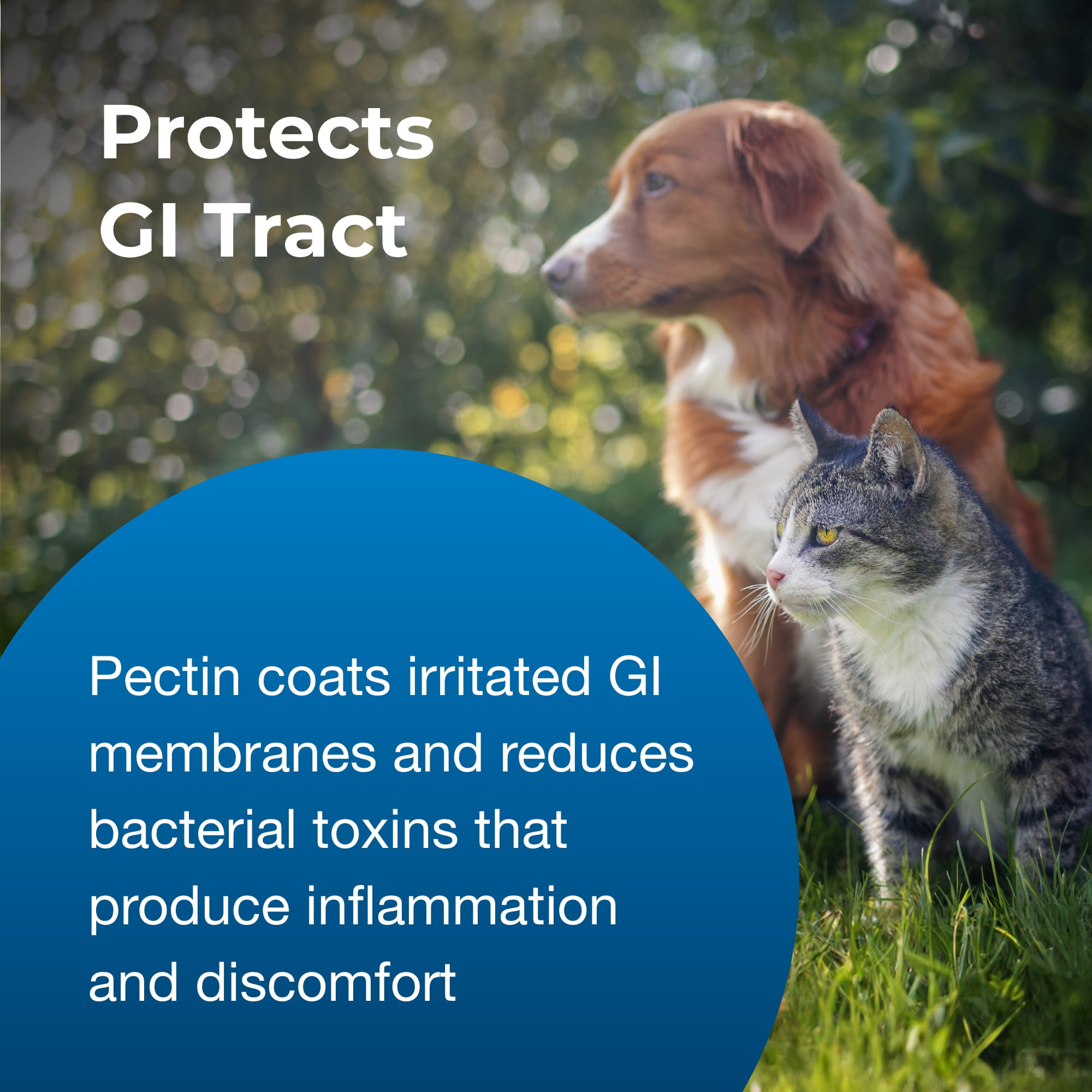Pet-Ag Pet Pectillin Anti-Diarrheal - 4 oz