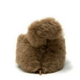 thumbnail image 2 of OoohGeez Womens Funny Slippers Animal House Fluffy Sherpa Slipper with Grippers, Let's Monkey, M, 2 of 7