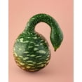 thumbnail image 2 of 15 Seeds GOOSENECK / Bottle / SWAN GOURD Lagenaria Siceraria Vine Seeds, 2 of 11