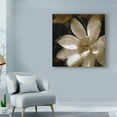 thumbnail image 3 of Trademark Fine Art 'Bronze Lily I' Canvas Art by Noah Bay, 3 of 4