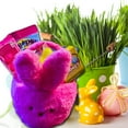 thumbnail image 6 of Everyday Necessiteez Easter Pink Peep Bunny Plush Gift Basket with Bubble Sticks Chicks Marshmallow Gummies Candy & Reusable Pink Bunny Head Bucket Spring Party Favors (Contents Vary), 6 of 7