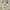 Cream/Blue, variant on Nourison Fusion Bohemian Cream/Blue 5'3" x 7'3" Area Rug, (5x7)