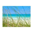 thumbnail image 3 of Tiptophomedecor Landscape Wallpaper Wall Mural - Tropical Journey, 3 of 4