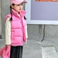 thumbnail image 4 of Pink Baby Kids Girl Boy Sleeveless Vest Down Jackets Outfit for Child Collared Neck Cami Tank Warm Thick Fall Winter Vest Zip Up 2025 Soft Comfy Clothing Fashion 13 Years, 4 of 9