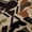 Green White Brown Black, variant on Castle Fairy Woodland Animal Black Out Curtains,Fishing Curtains Pack of 2 (42x63 Each)