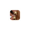 thumbnail image 1 of Aros Airvess Estrella de Mar Bañados en Oro 14K Hipoalergénicos, 1 of 7
