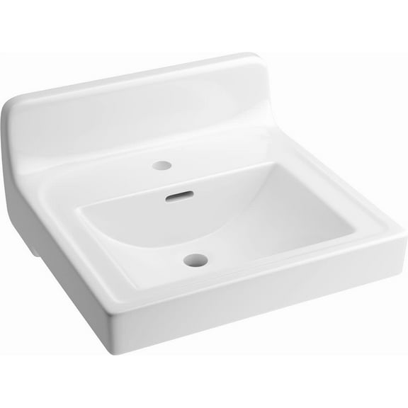 Proflo Pf5811 20" Rectangular Vitreous China Wall Mounted Single Hole Bathroom Sink in White