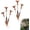 2PCS, variant on 1/2/3PCS Flamed Copper Three Calla Lilies Garden Stake with Bells, 2026 New Metal Flower Garden Decor Outdoor Yard Art, Rain Catcher Flowe for Patio Decor, Garden Pathways, Gifts for Garden Lovers