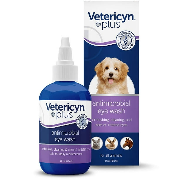Dog Eye Infection Drops Walmart