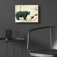thumbnail image 5 of Epic Art 'Northern Wild Bear' by James Wiens, Acrylic Glass Wall Art, 16"x12", 5 of 8