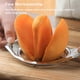 thumbnail image 4 of Rebanadora de frutas Wosthever de Acero inoxidable para Cocina y comedor, 4 of 6