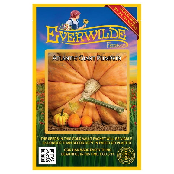 Everwilde Farms - 10 Atlantic Giant Pumpkin Seeds - Gold Vault Seed Packet