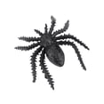 thumbnail image 1 of Visor de Insectos 4x, Juguete Educateco Para Niños, Visor de Insectos bidireccional, Proporciona Vista Superior Y Lateral Conumo 4x, Hecho de Plástico ABS DE, Ecológico,, 1 of 7