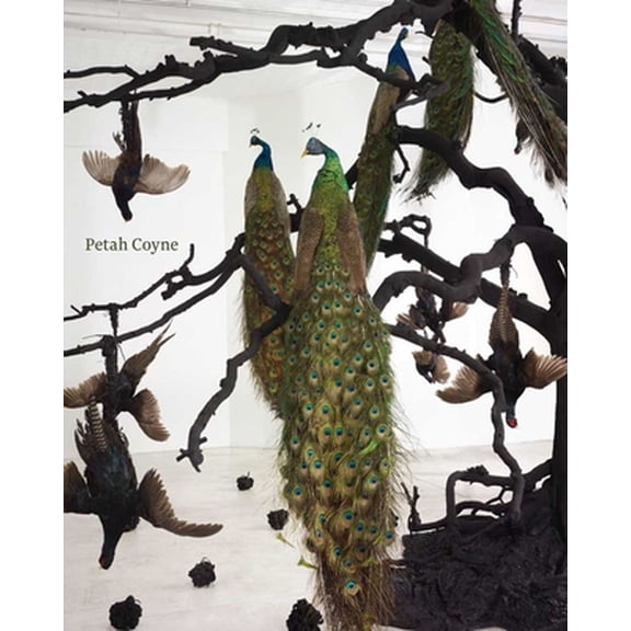 Pre-Owned Petah Coyne: Everything That Rises Must Converge (Paperback) 0300167709 9780300167702