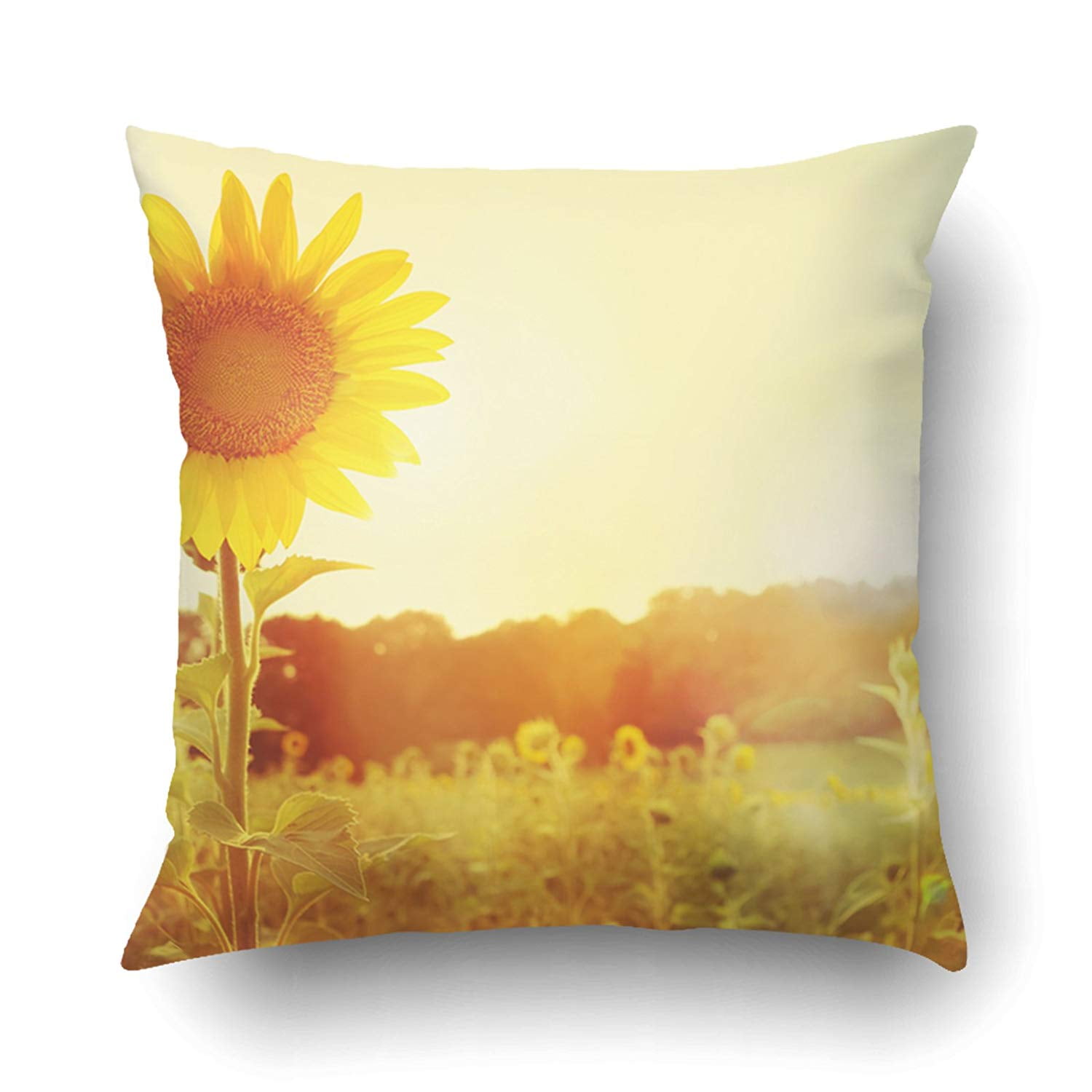 RYLABLUE One Sunflower Rising Above The Rest Instagram Effect Pillowcase Pillow Cushion Cover 20x20 inch Walmart