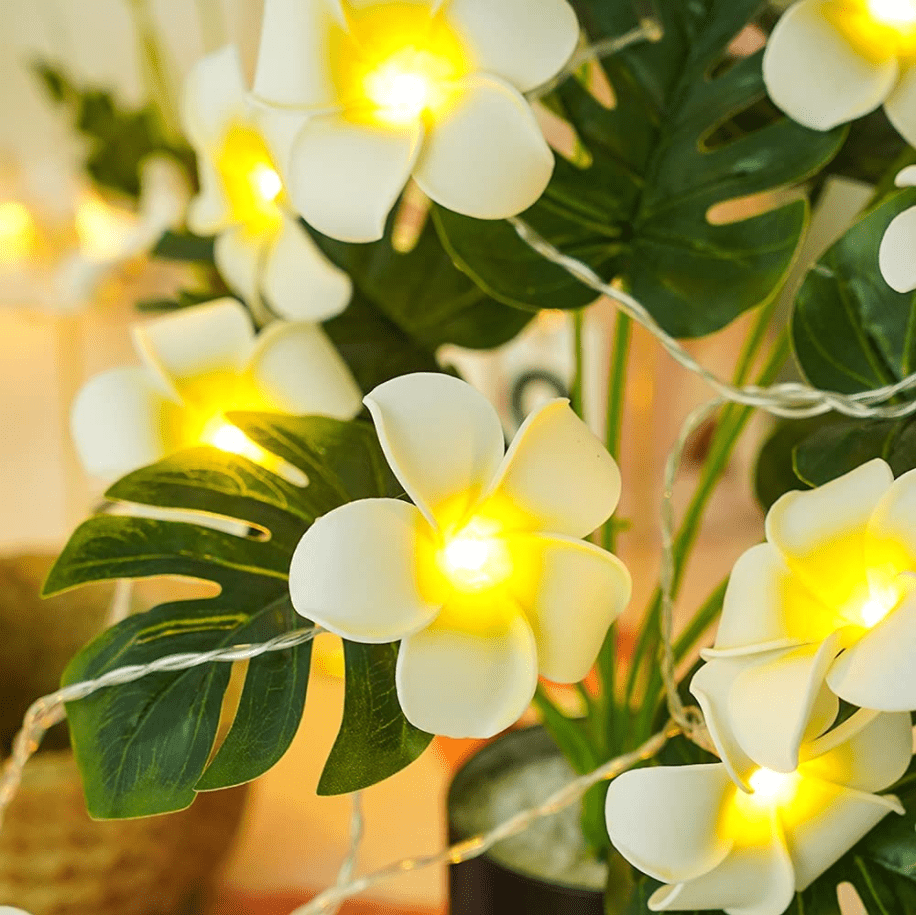Warm Artificial Hawaiian Plumeria Flower Party Fairy String Lights 6.5FT 10 LED 