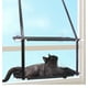 thumbnail image 4 of Hamaca gris para gatos, hamaca para ventana de gato, cama para asiento de ventana para gato con ventosas de botón, asiento de descanso para gato para tomar el sol, ahorra espacio, 4 of 4