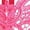 Red, variant on Panties for Women Ladies Pants Briefs Underwear Women Thong Lady Lace Elegant Teddy Women's Underwear