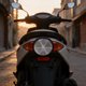 thumbnail image 4 of FESTFENDS 30Ud Reflectores De Seguridad Para Motocicleta Y Bicicletas Con Materiales Duraderos Y Resistentes, 4 of 6