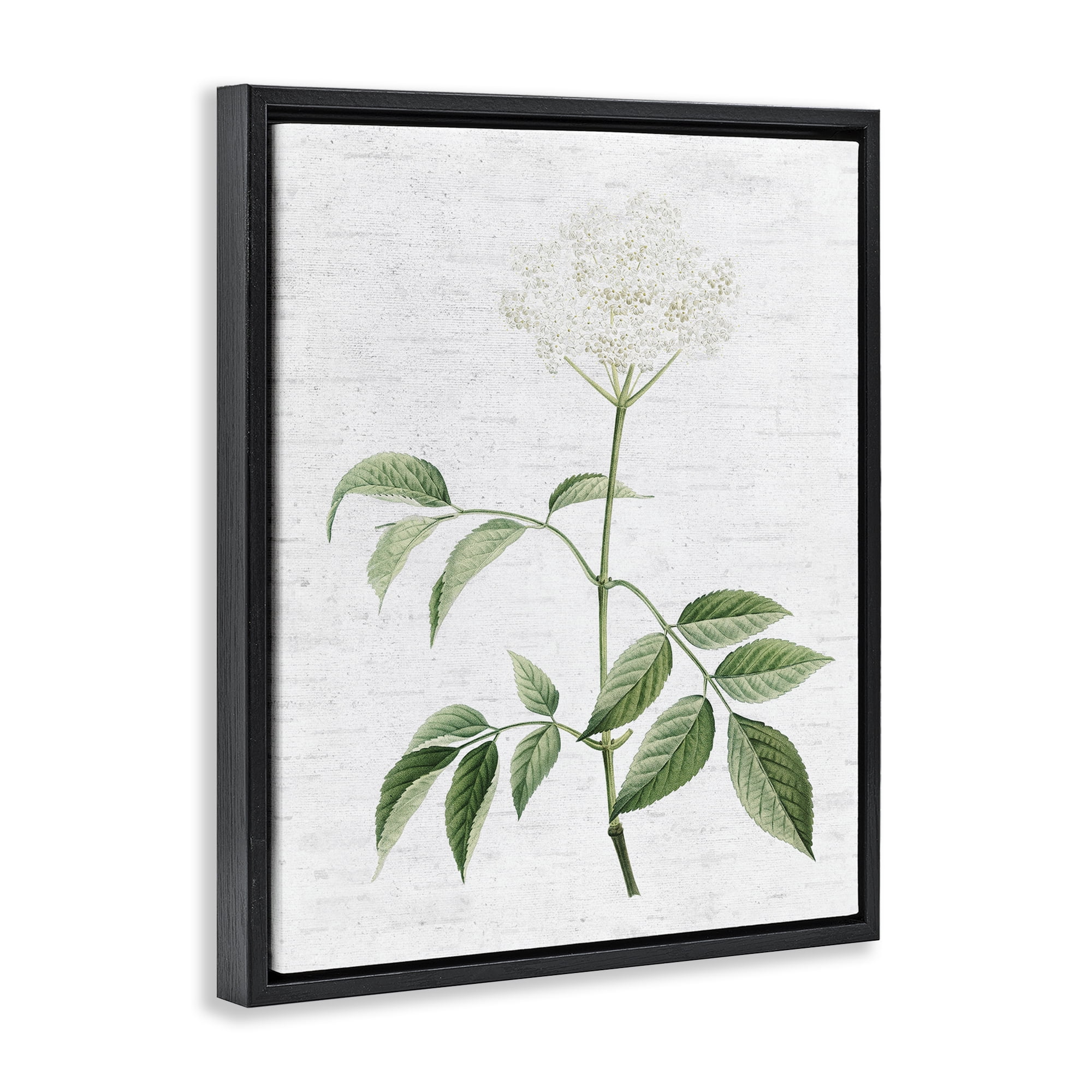 Stupell Industries Subtle Neutral Flower Botanical & Floral Painting Black Floater Framed Art Print Wall Art, 25 x 31